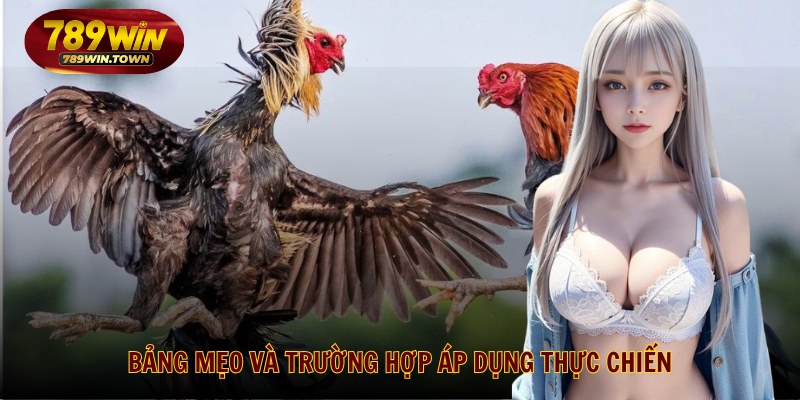 Bảng mẹo và trường hợp áp dụng thực chiến