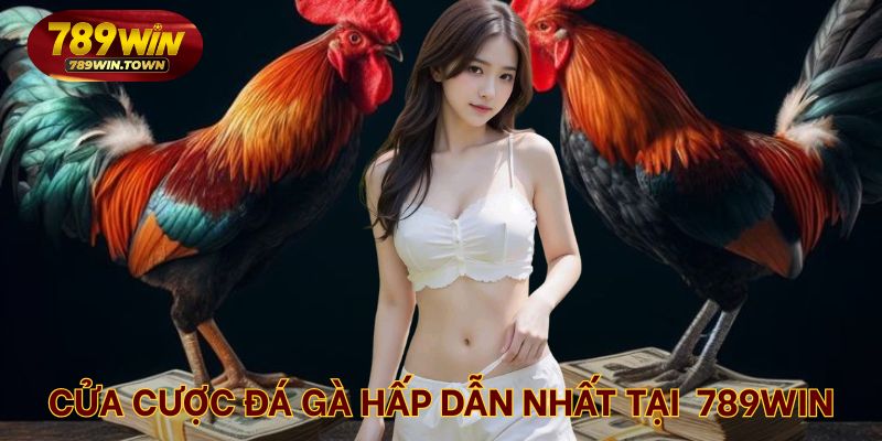 Cửa cược đá gà hấp dẫn nhất tại nhà cái uy tín 789WIN