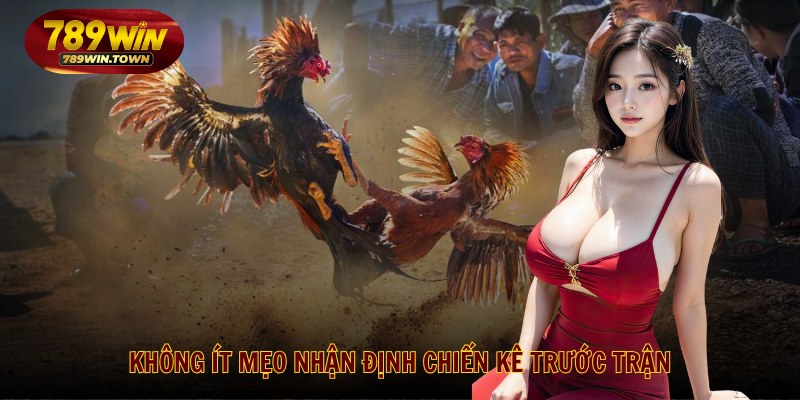 Không ít mẹo nhận định chiến kê trước trận