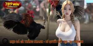 Mẹo đá gà thắng nhanh