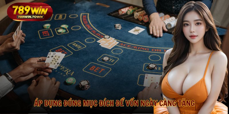 Áp dụng đúng mục đích để vốn ngày càng tăng