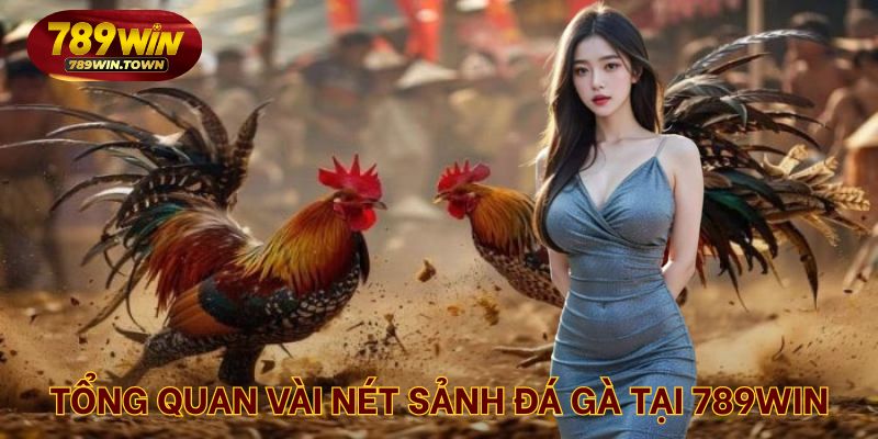 Tổng quan vài nét sảnh đá gà tại 789WIN
